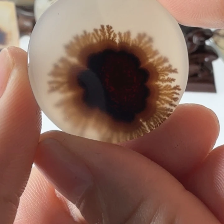 玛瑙/玉髓未镶嵌珠宝半成品