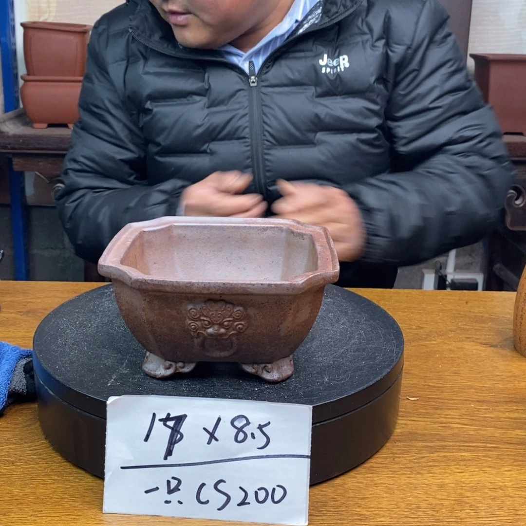 红陶货号一只CS200