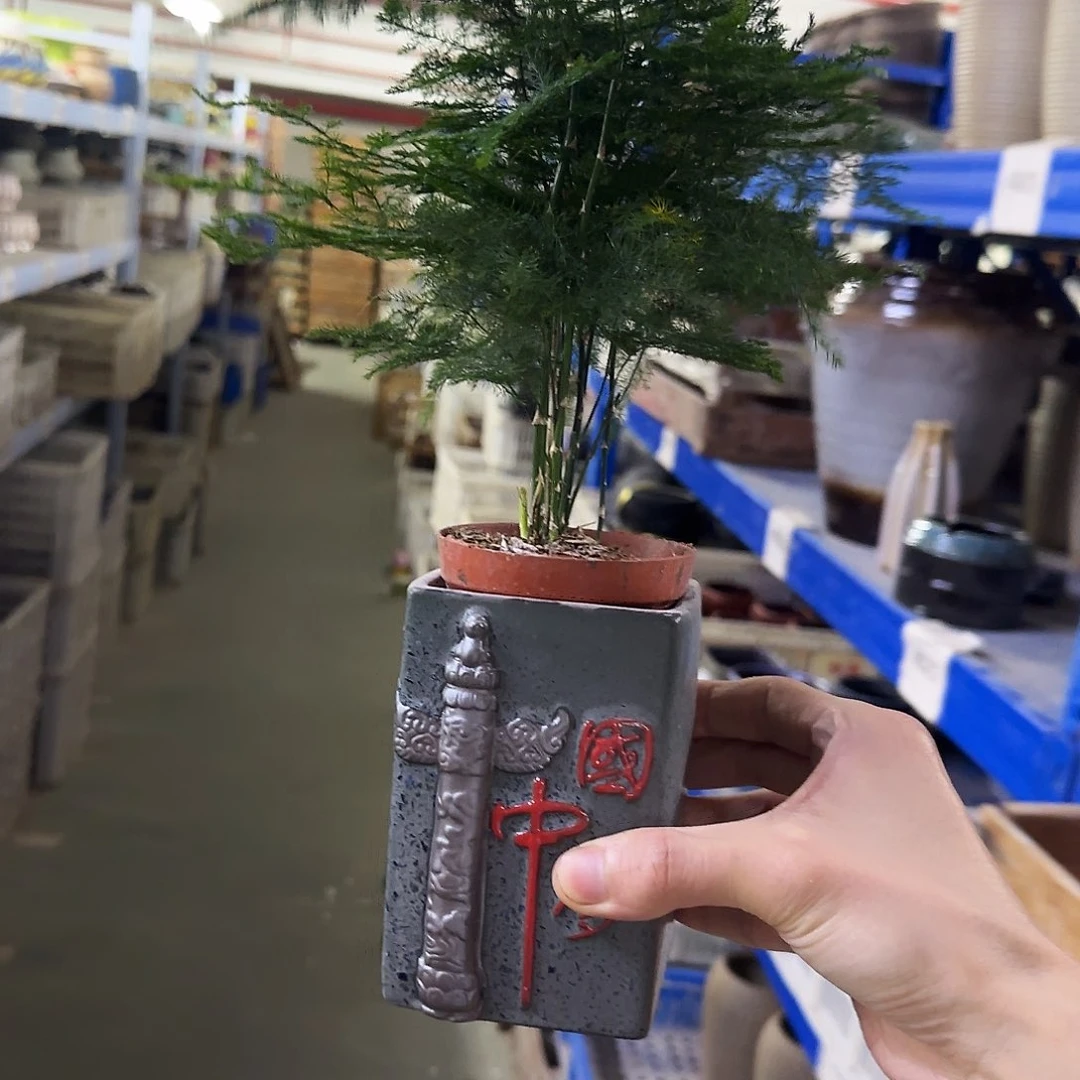 2件套福利局绿植多肉盆［凑9元包邮24小时发］5045