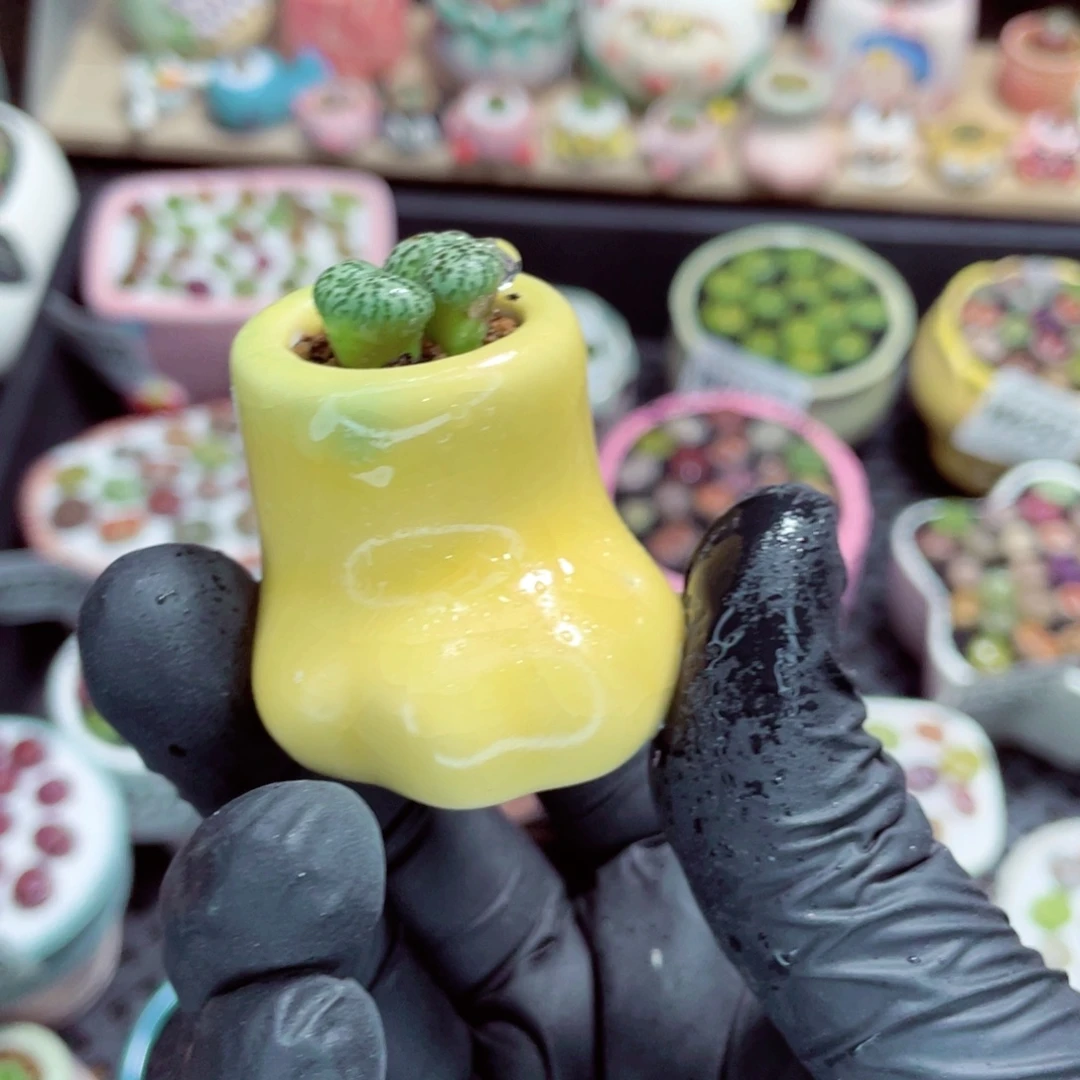 夜间零下地区拍保温箱w6530