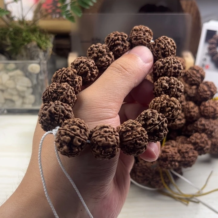 最***鸭手串金刚菩提粗筋梅花双龙原生态赠粉丝