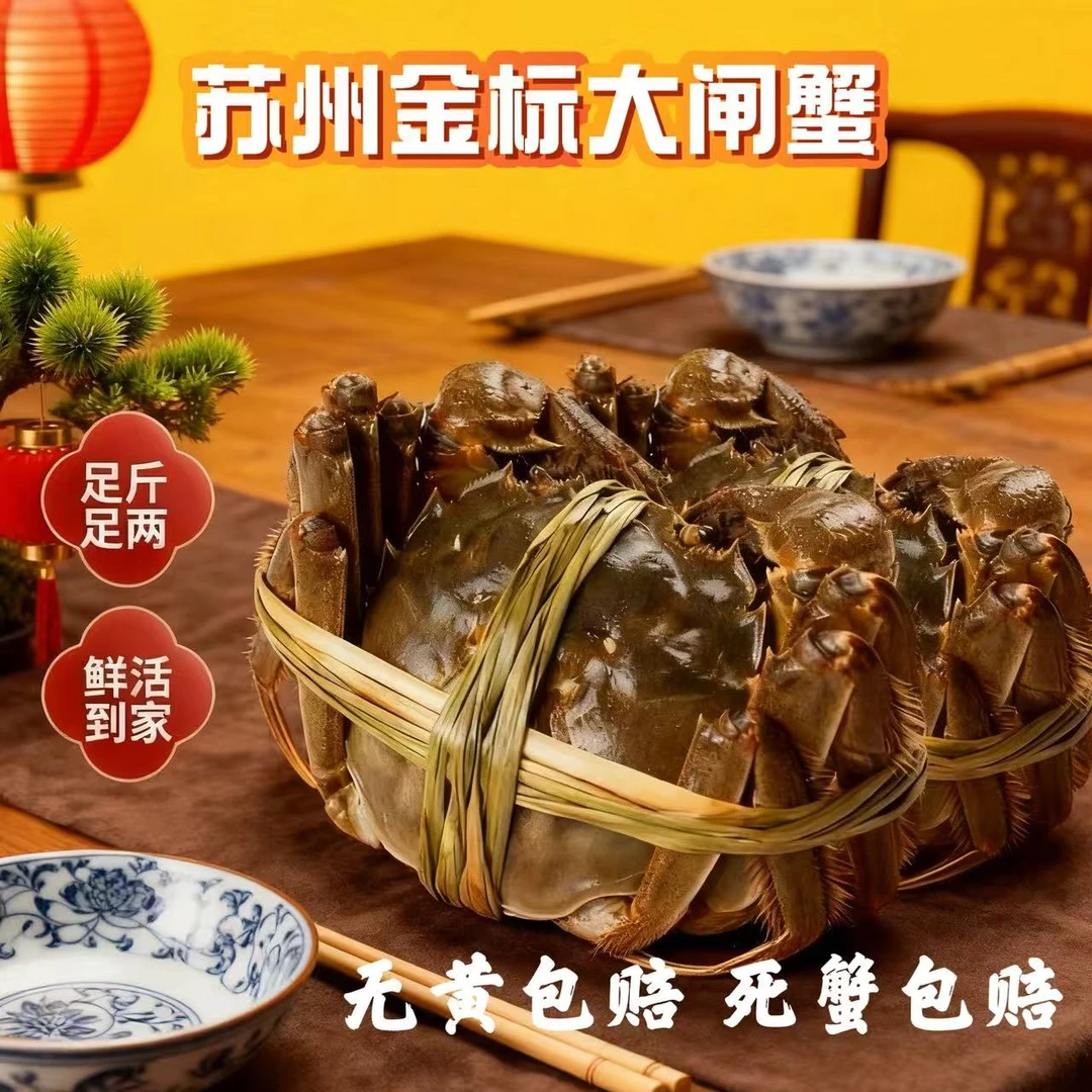 【苏州金标活蟹】现捕现捞大闸蟹公4.7~4.4 母3.7~3.4两共6-8-10只礼盒装
