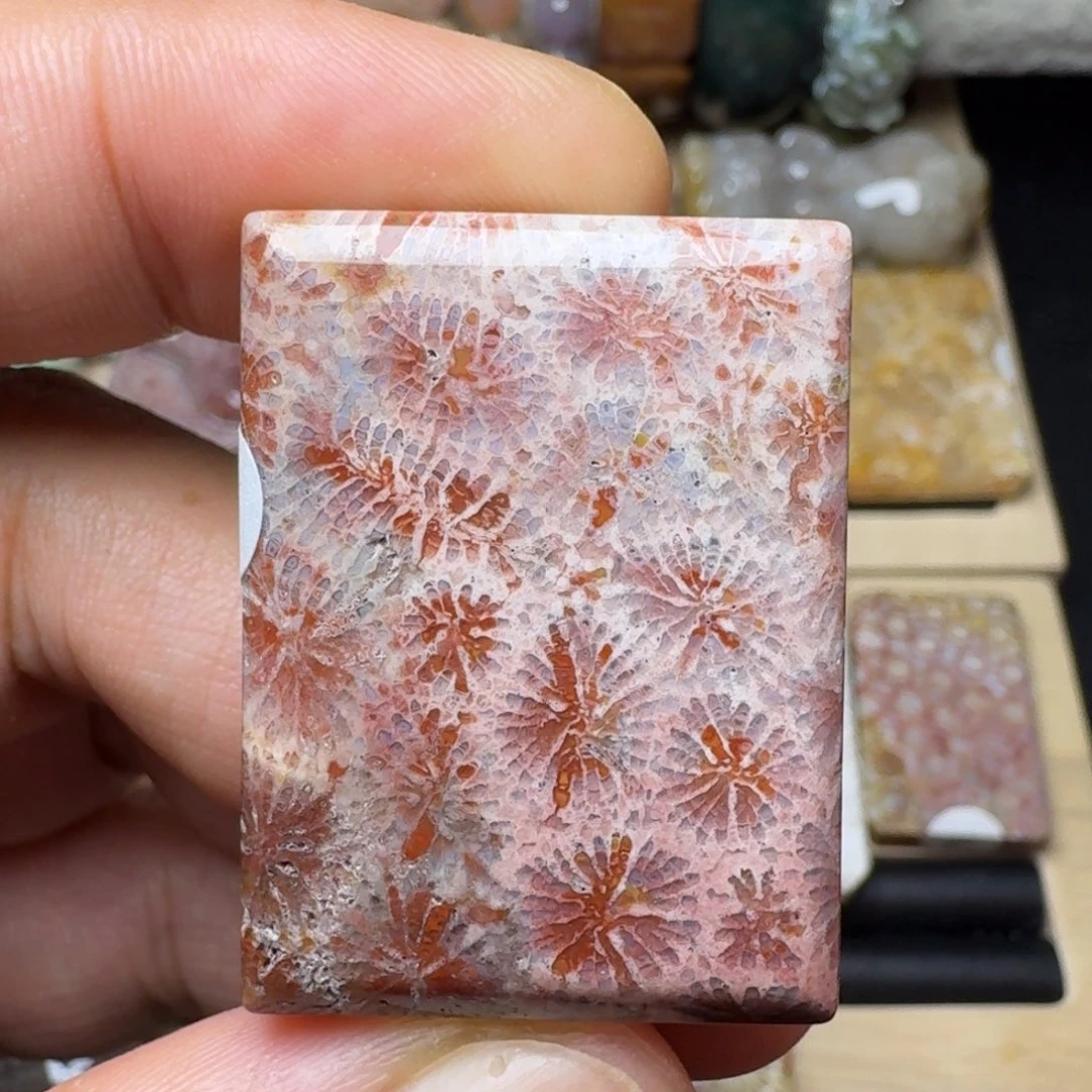 硅化玉未镶嵌纯天然色有机玉石保真色