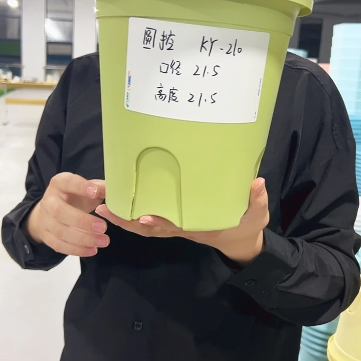 特价圆控口21高21果绿色5支带托