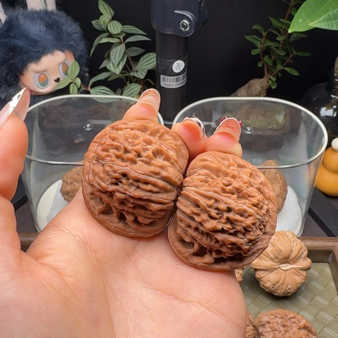 核桃全品四座楼41