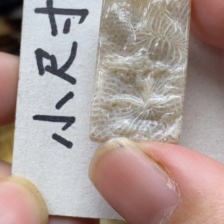 硅化珊瑚（珊瑚玉）未镶嵌颈饰