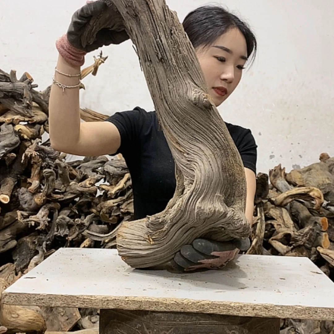 【闪购商品】柏木精****》我们都是好孩子