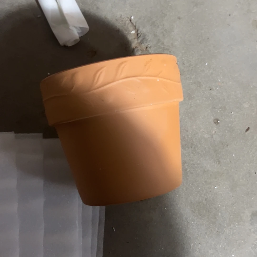 瑕疵泡水橄榄16口14高1个瑕疵