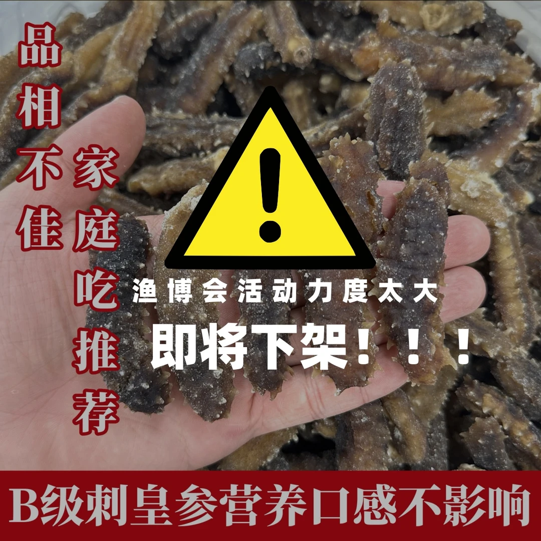 shenzhubo/参主播B级黄金刺皇海参品相不佳营养口感不影响无沙