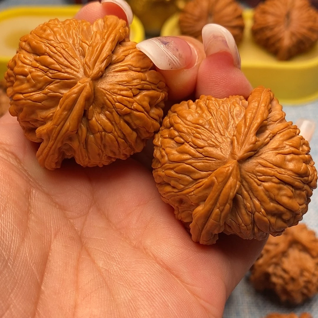 文玩核桃把件毕业白狮子43.9尺全品