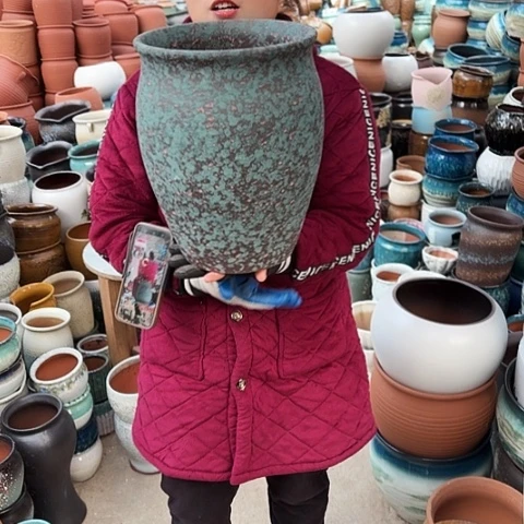 24口31高盆子盆子。