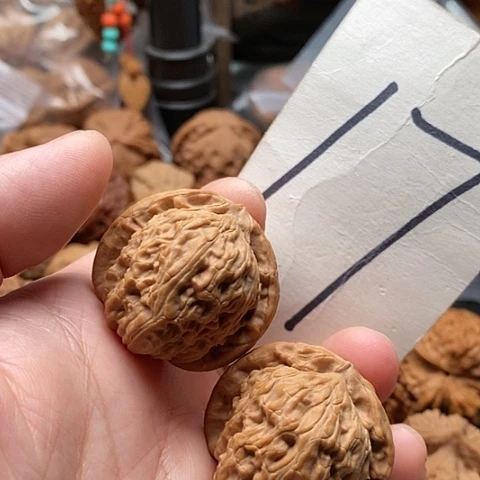 桃核吊坠34全品白狮子