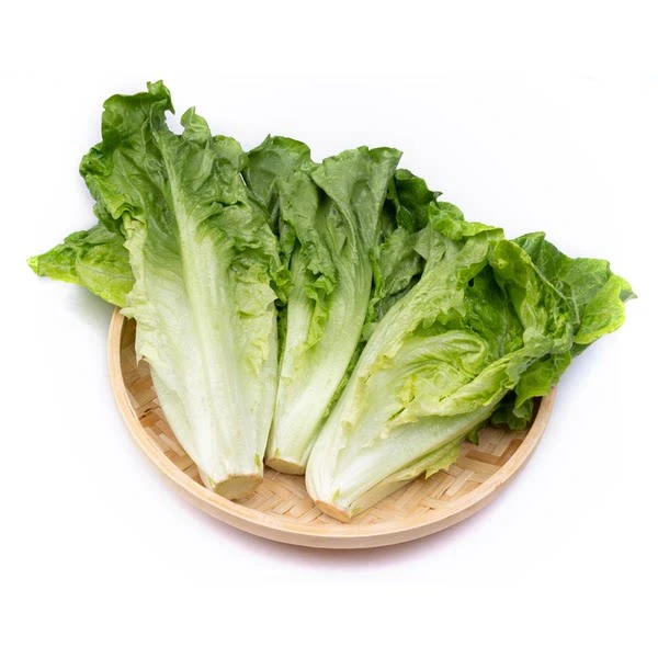 鸡窝生菜500g/份