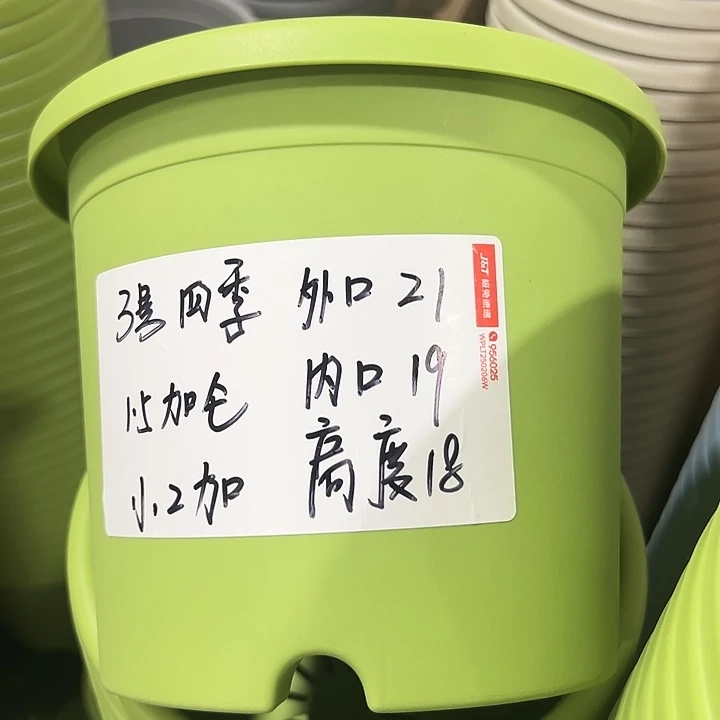 特价3号口21高18果绿10只无托
