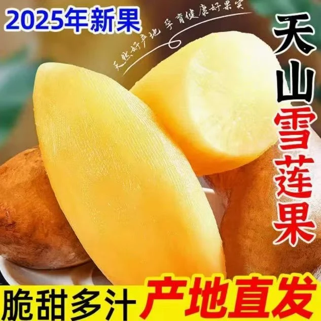 云南天山雪莲果【低糖】中果清甜脆爽多汁新鲜应季孕妇水果产地包邮