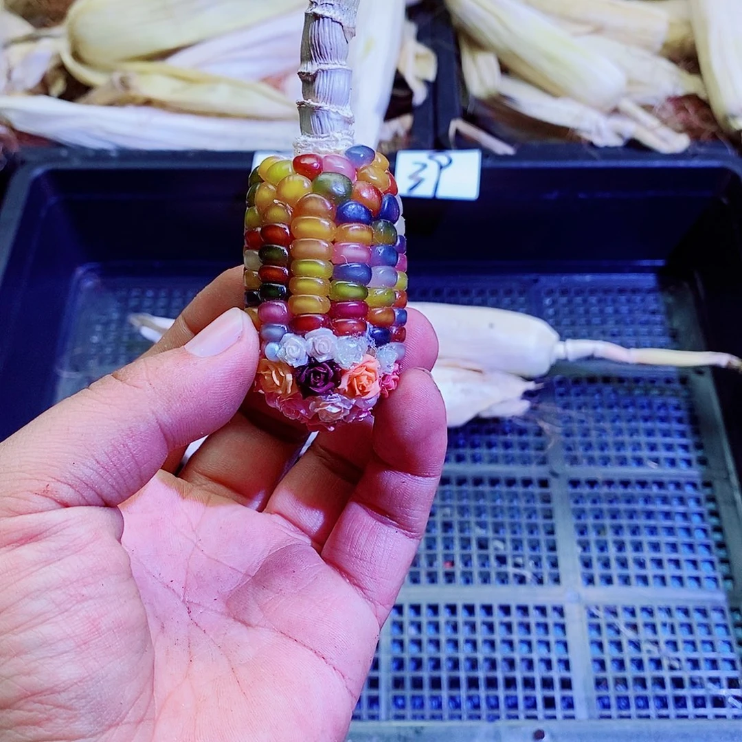 一物一拍，文玩玉米成品，9999