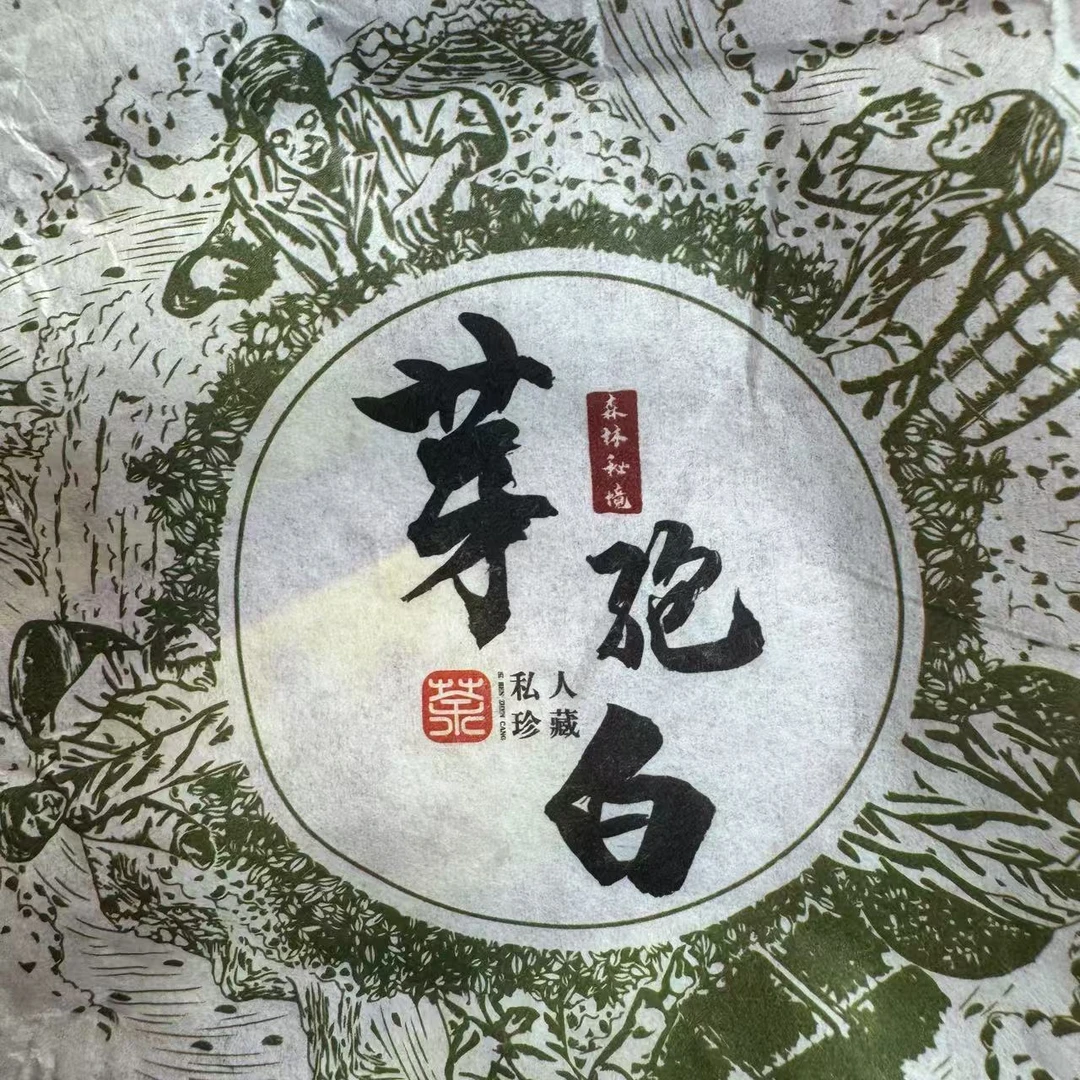 【小刚家的茶】7-6【LC255】2025年大雪山芽苞白 100饼/饼（普洱白茶）