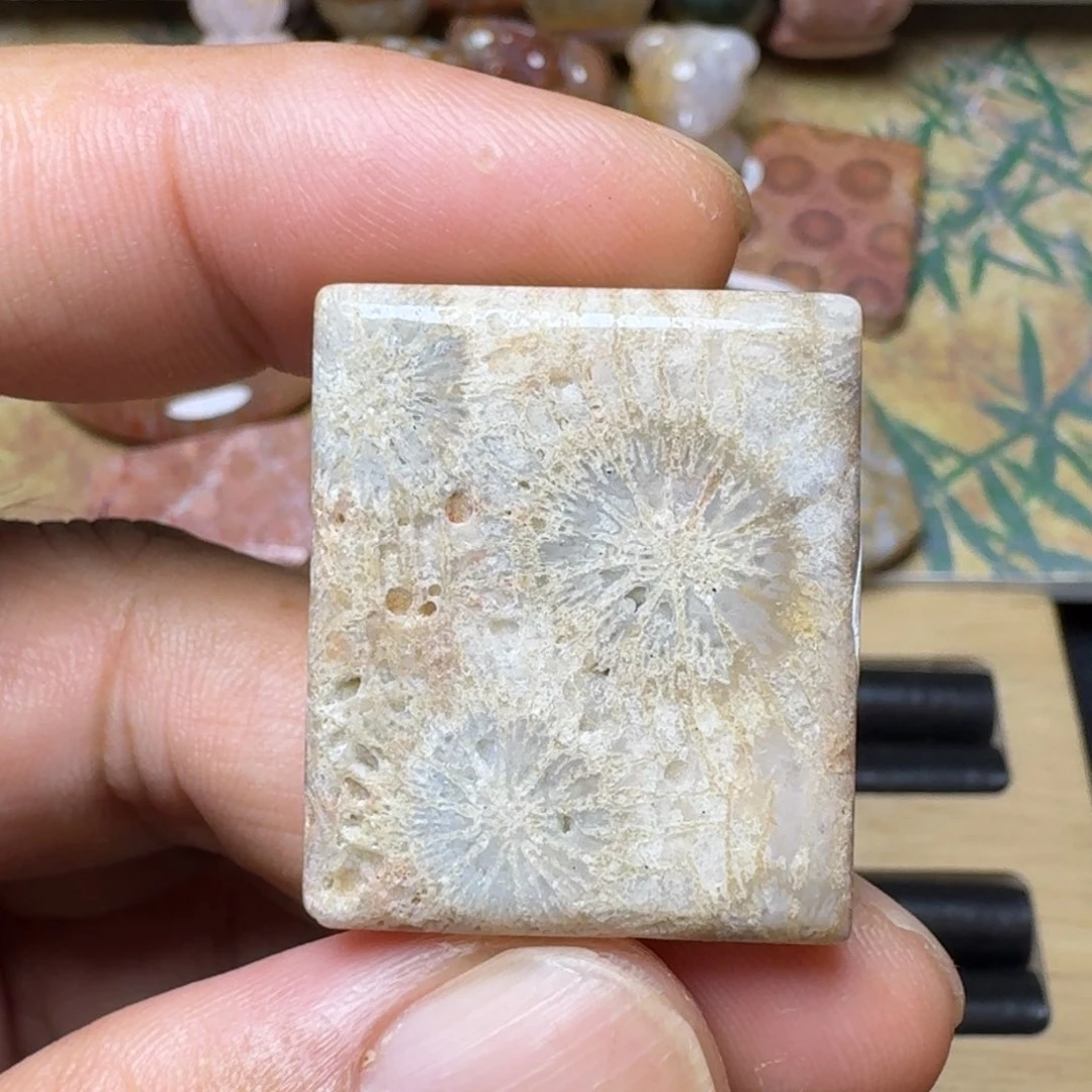 硅化玉纯天然色有机玉石保真色未镶嵌无珠无绳一件包邮