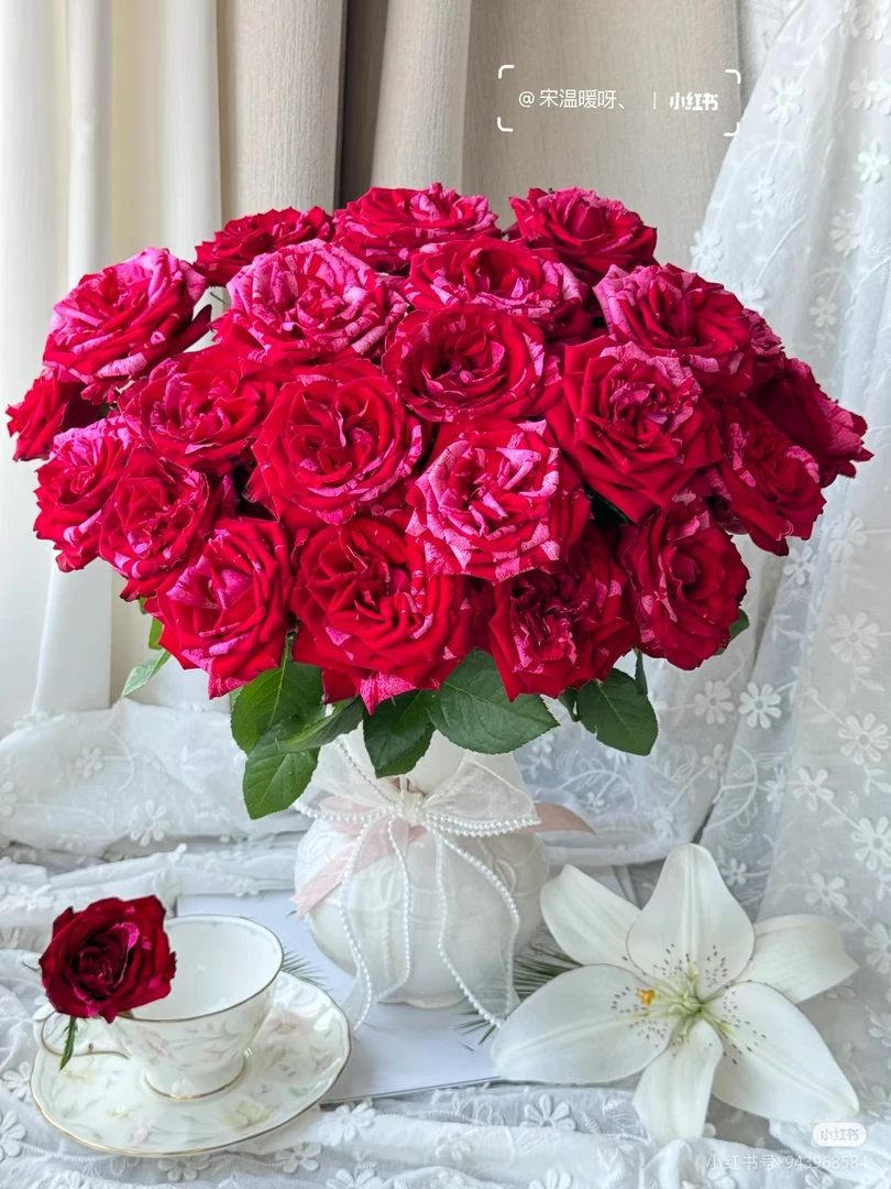 幸运女神玫瑰 两单包邮一单或低温不拍保温冻坏不售后