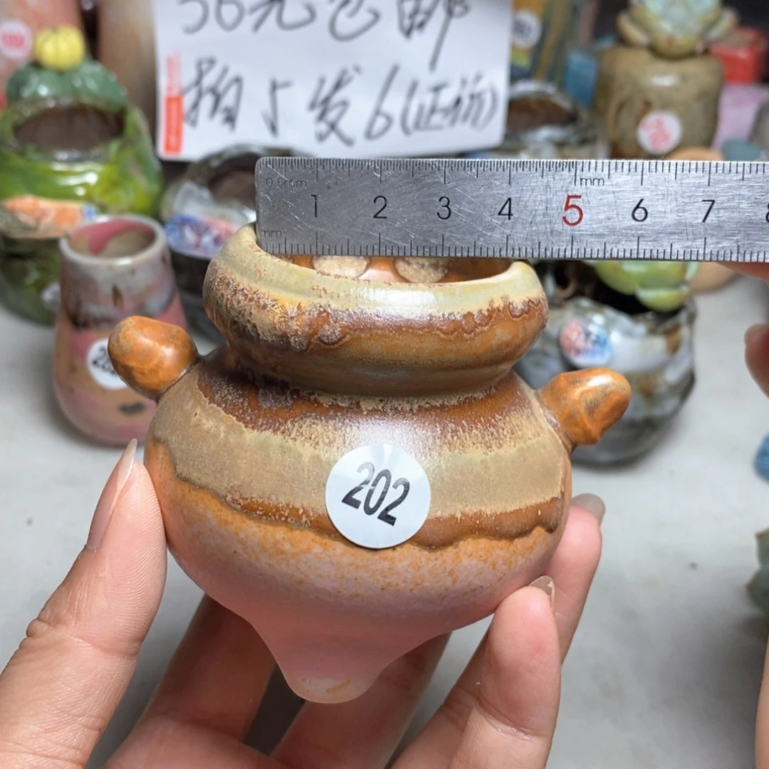 拍5送一个小礼物