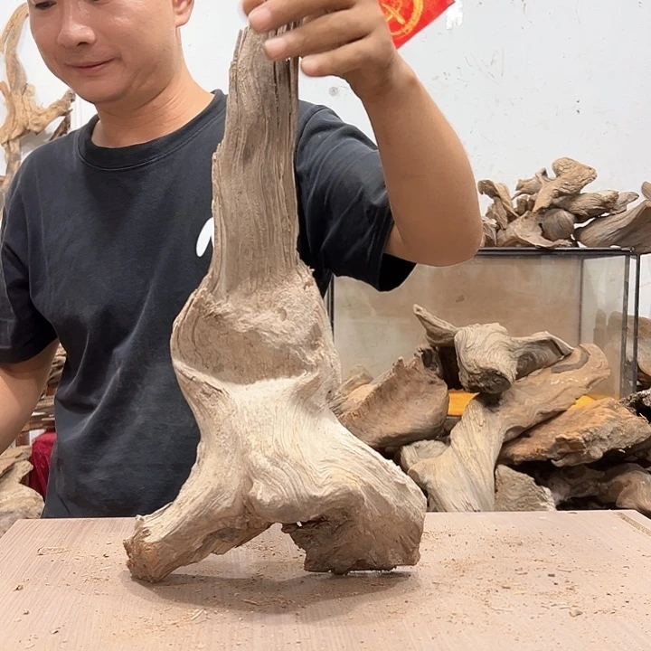 柏木仙****红我们都是好孩子啊我也想