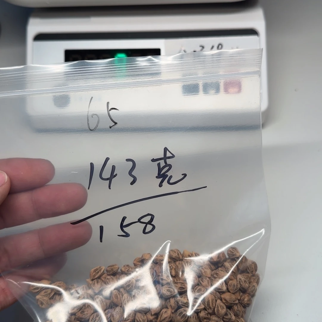 F***e柏香籽/百香籽吊坠