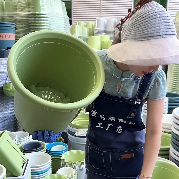 四季盆7#果绿色6个无托