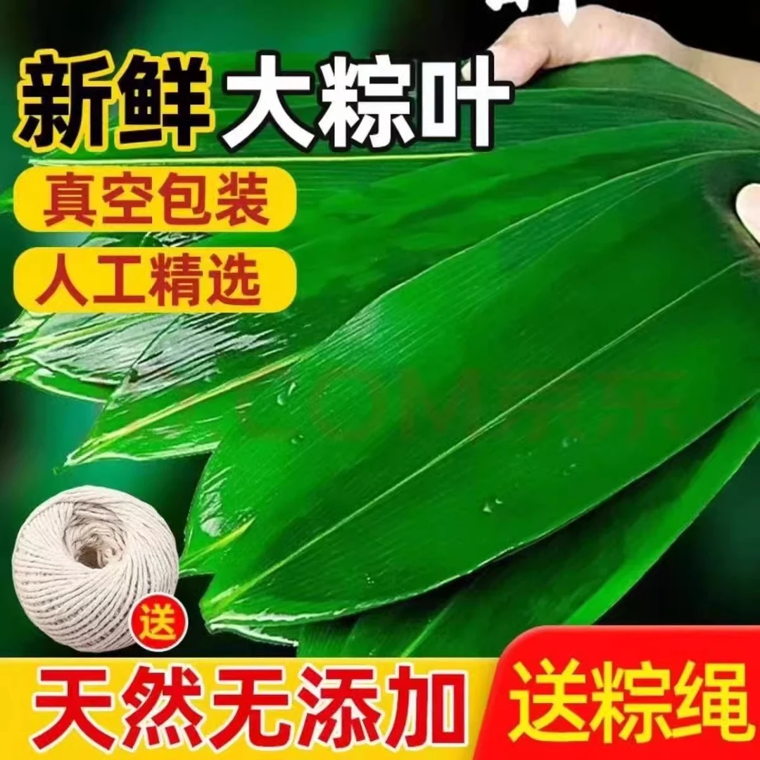新鲜大粽叶真空包装包粽子专用大芦苇叶野生箬竹叶干包粽子叶家用