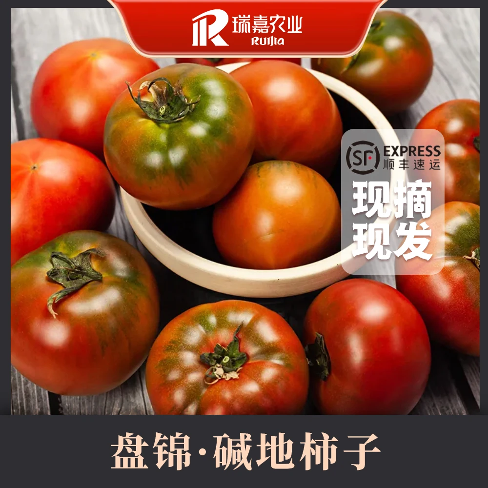 [顺丰包邮]2025年盘锦碱地柿子新鲜水果自然熟 精品果