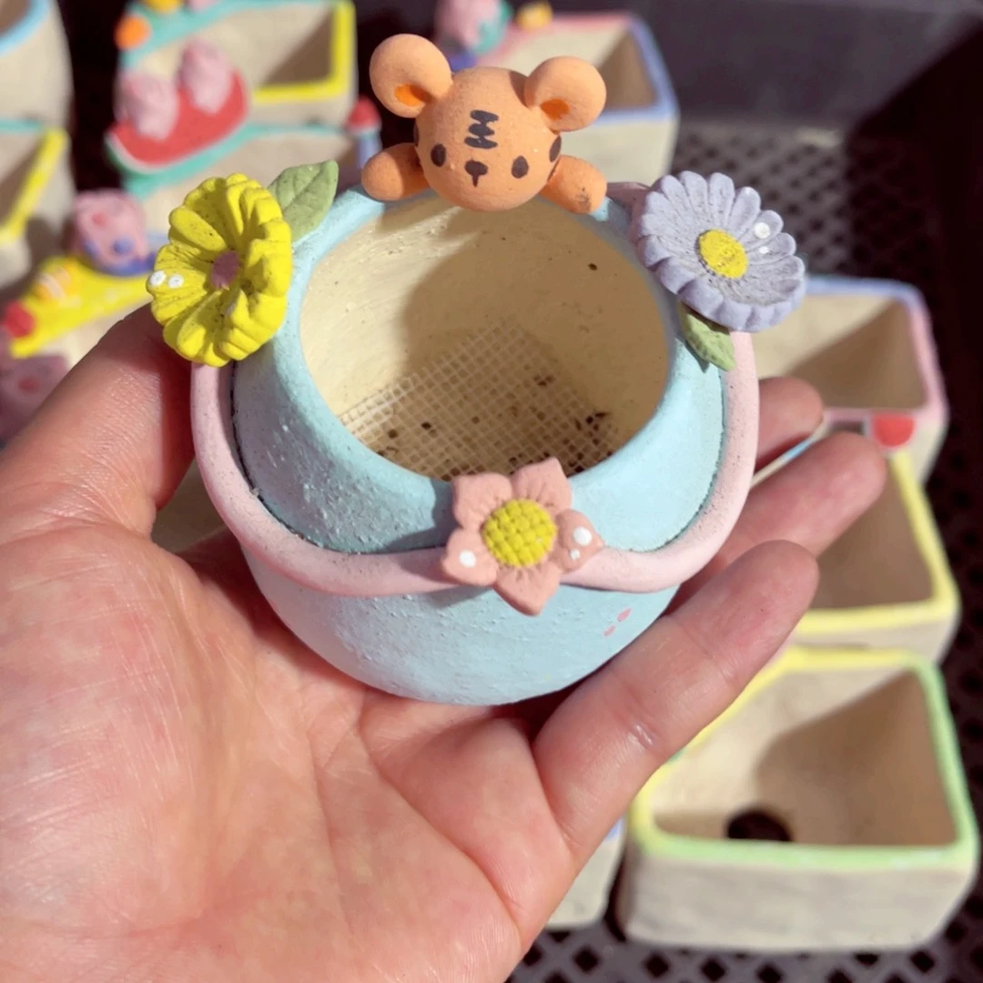 x**i4号带盆包邮发货