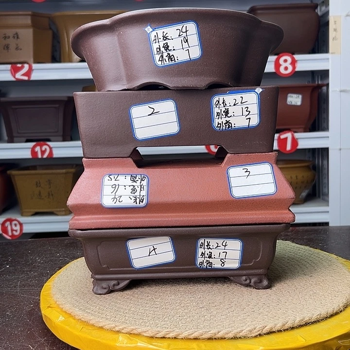 花盆紫砂蛇年大吉