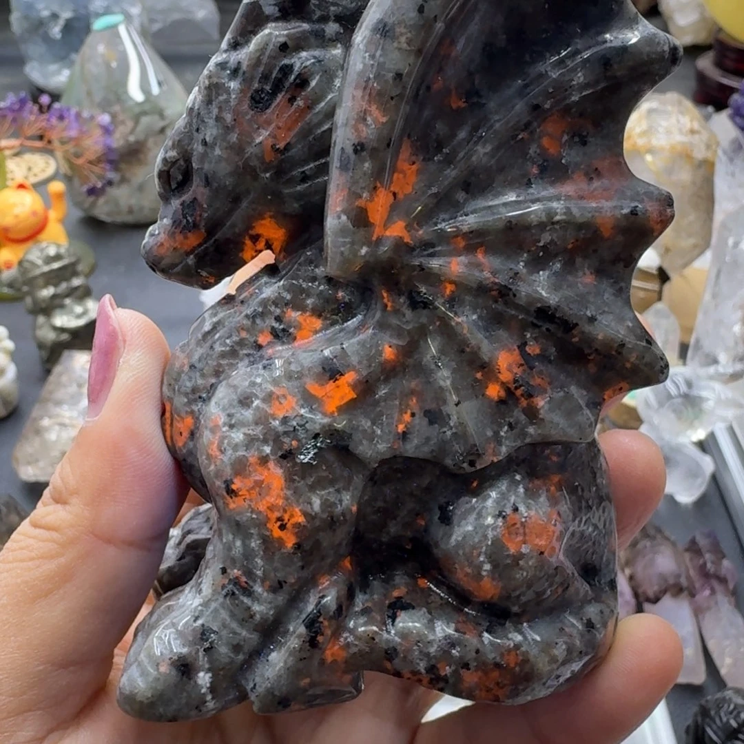 火焰石飞龙的故事