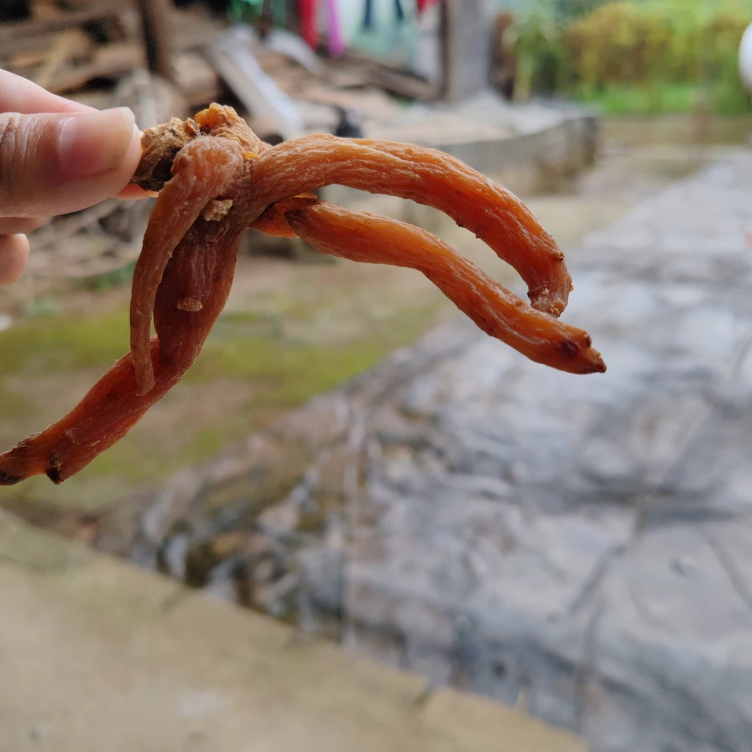 一品香珍品好物龙爪申菇