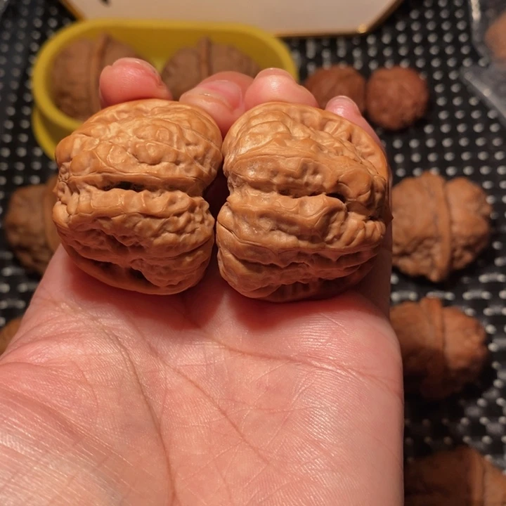 强***头文玩核桃把件四八腿