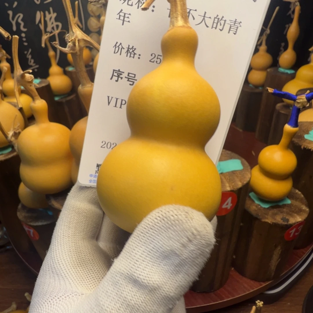 长***年葫芦文玩葫芦文玩