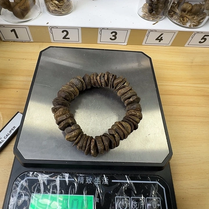 沉水树丁壳子单圈30+多样性