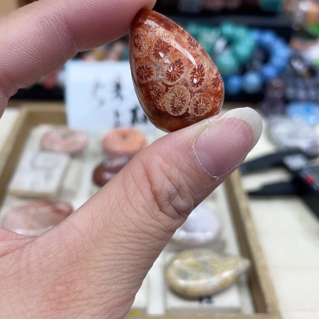 未镶嵌手串硅化珊瑚（珊瑚玉）蝈*029