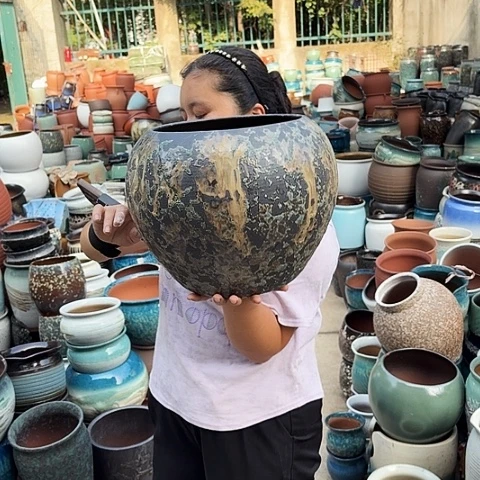 口24高27瑕疵一个盆子。