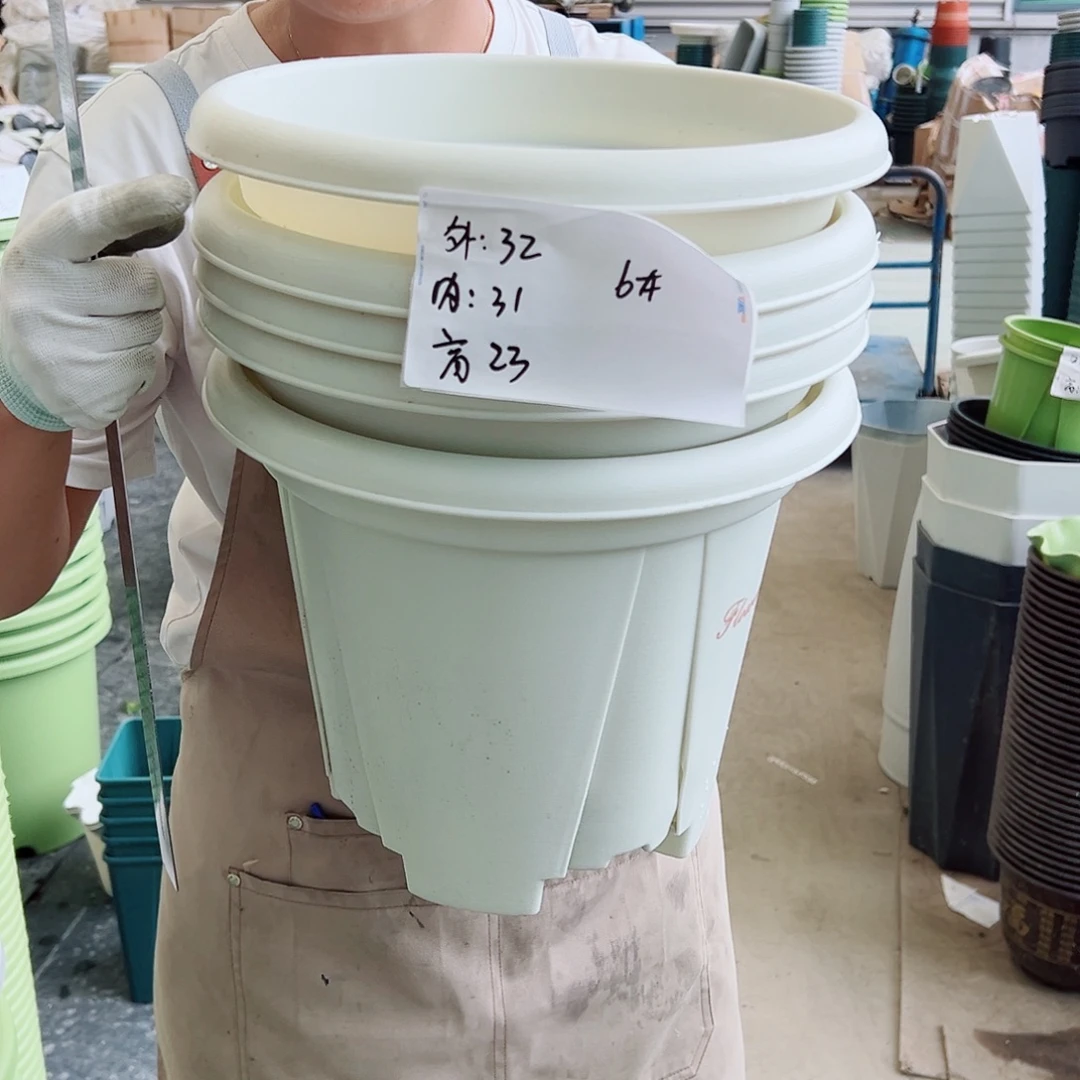 青山盆6#米白5个无托