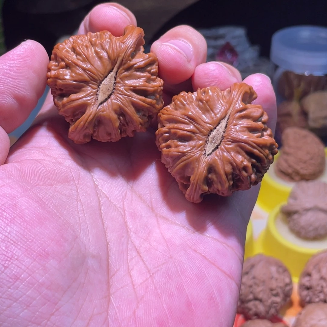 我****把件文玩核桃44全品卡姿兰大白狮子