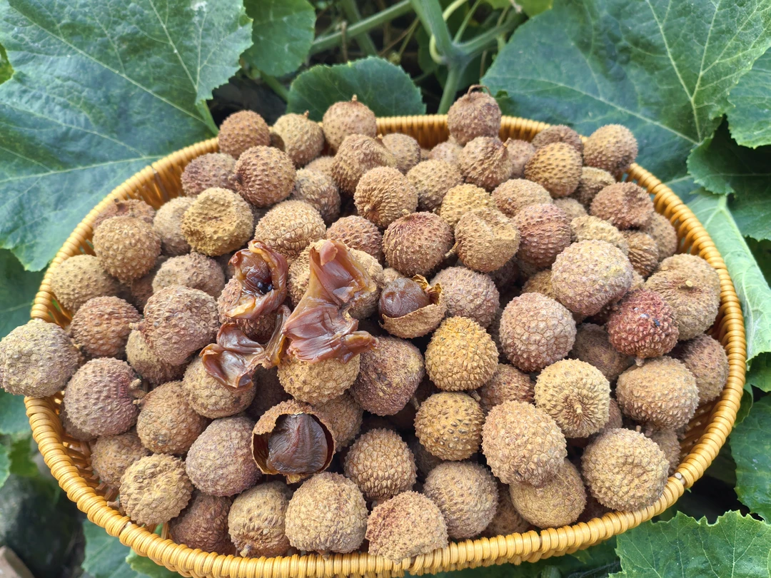 新货高州桂味荔枝干皮薄肉厚新鲜袋装无核高州特产桂味荔枝干软糯