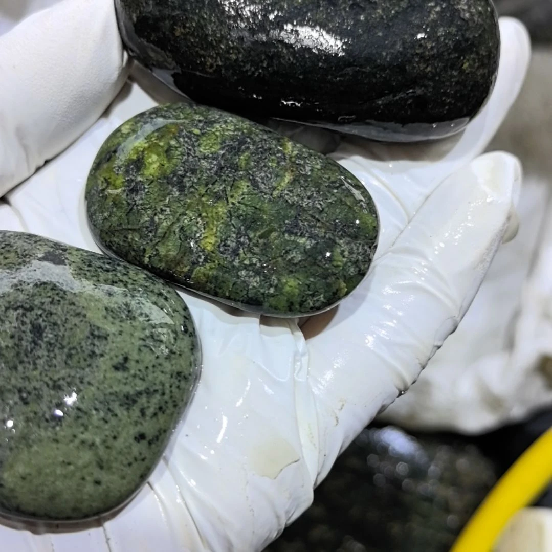 敏***)藏玉药王石原石三个原石一个摆件一个