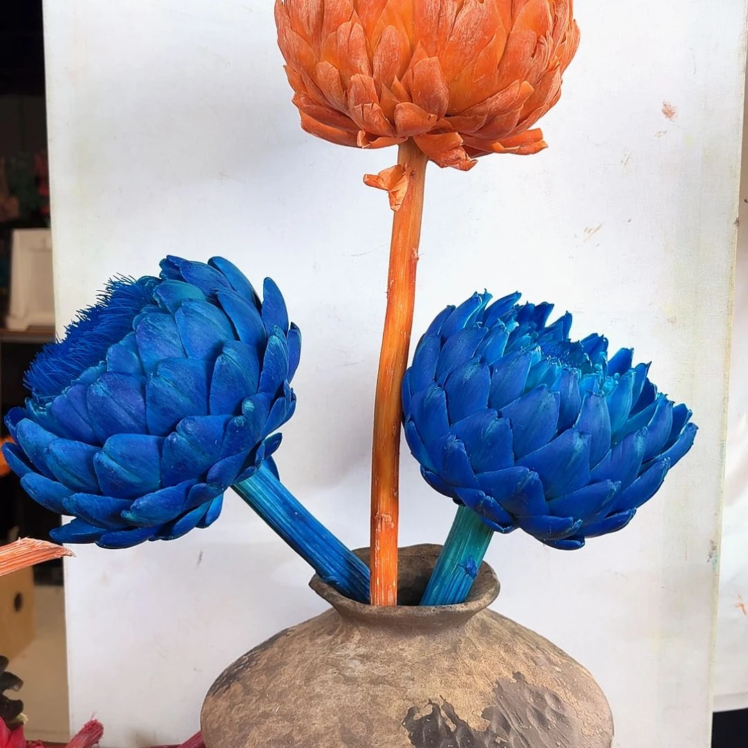 完全开放B17 混色三枝