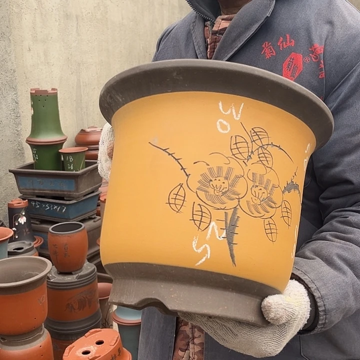 紫砂紫砂花盆盆栽