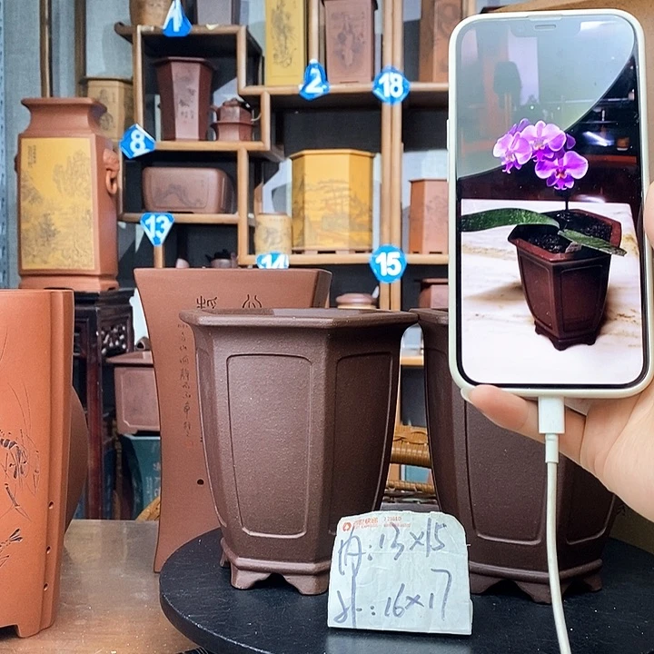 紫砂两只特价宫灯68