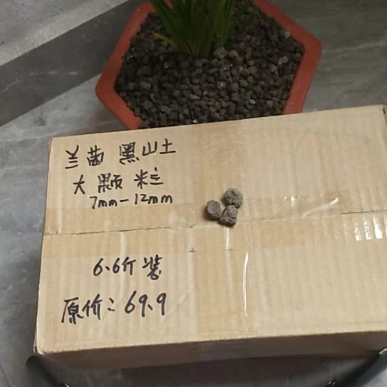 心***愿兰菌黑山土大颗粒6.6