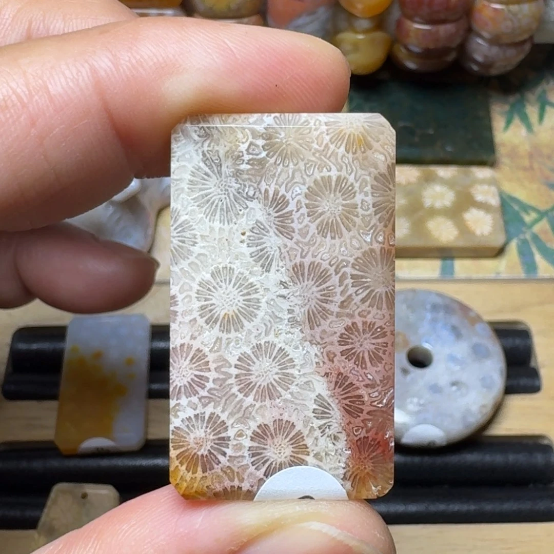 硅化玉天然有机玉石保真色未镶嵌t****w