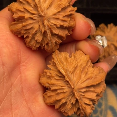 文玩核桃吊坠秦岭野生核桃