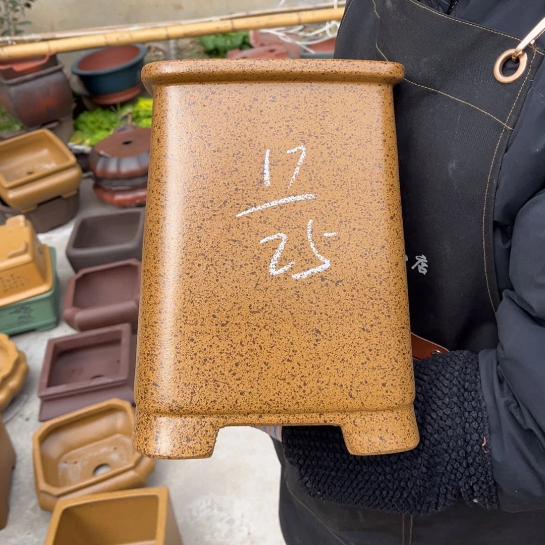 紫砂花盆盆景艺术