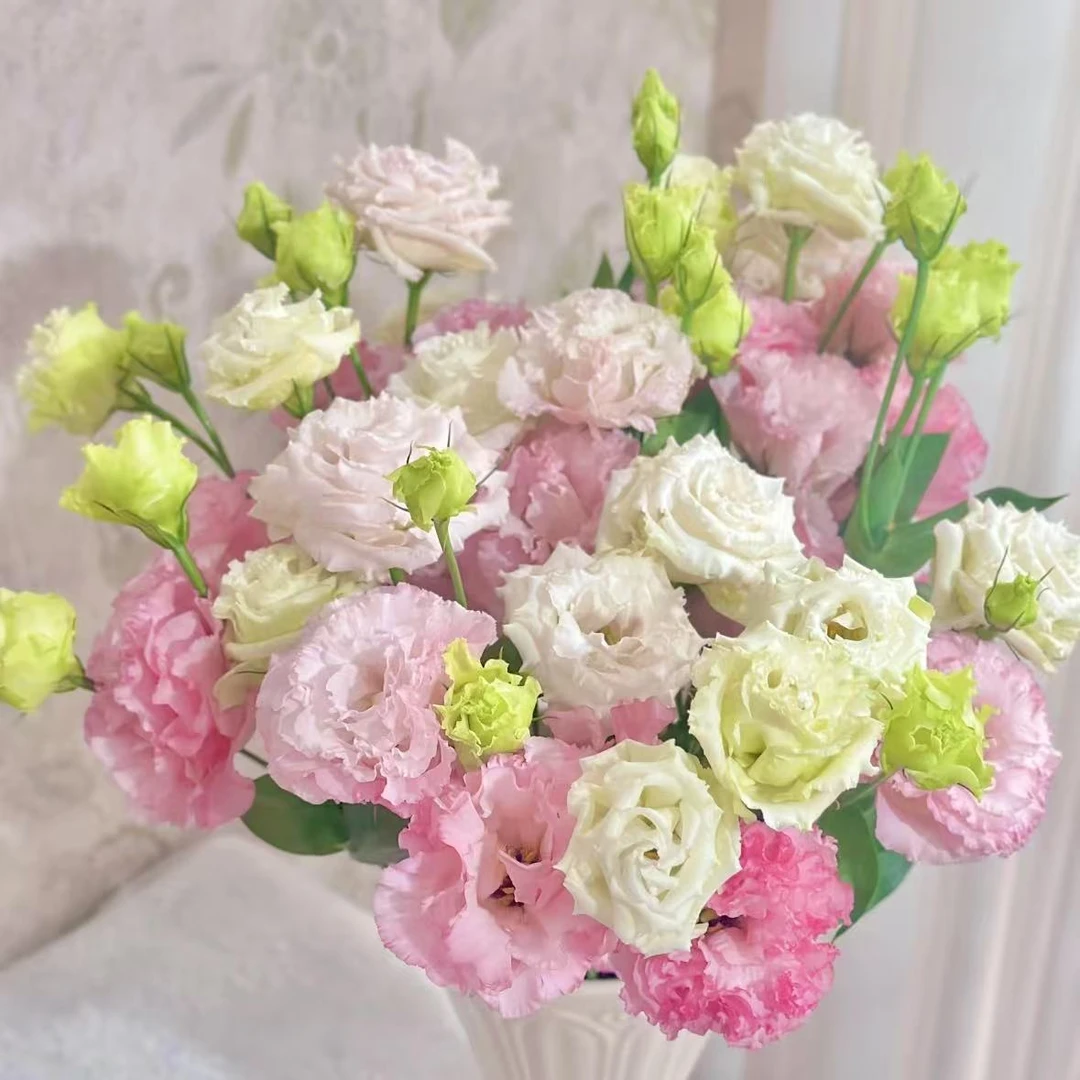 【植迷不误】立深洋桔梗 无刺玫瑰 居家插花 云南鲜花基地包邮直发